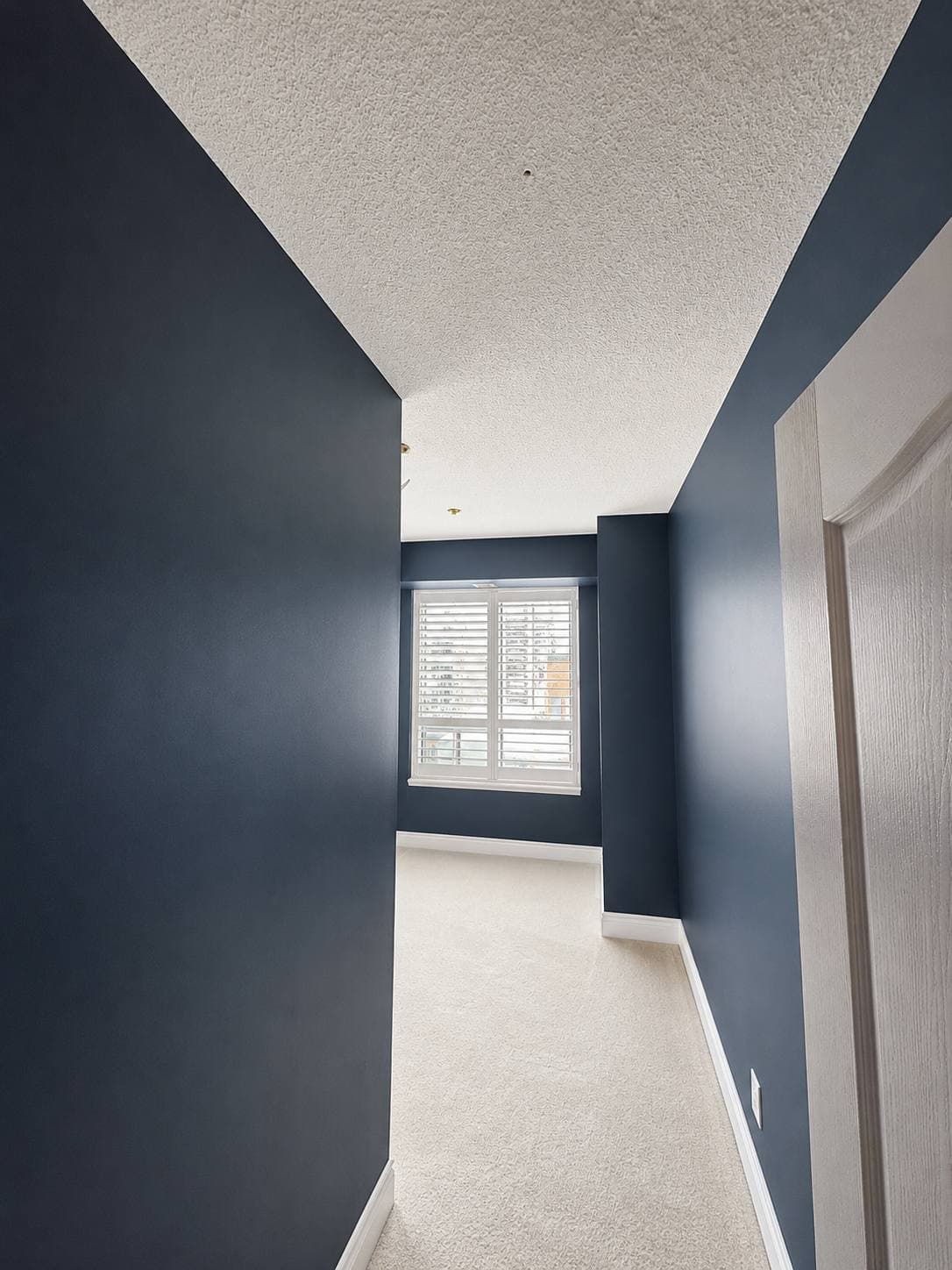 GTA Condo Wall Colour Finishes completed by PReno Construction